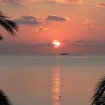 Emilia Barrera avatar